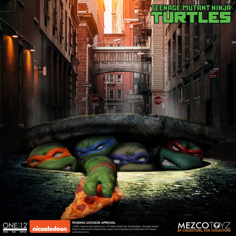 Teenage Mutant Ninja Turtles Deluxe Boxed Set